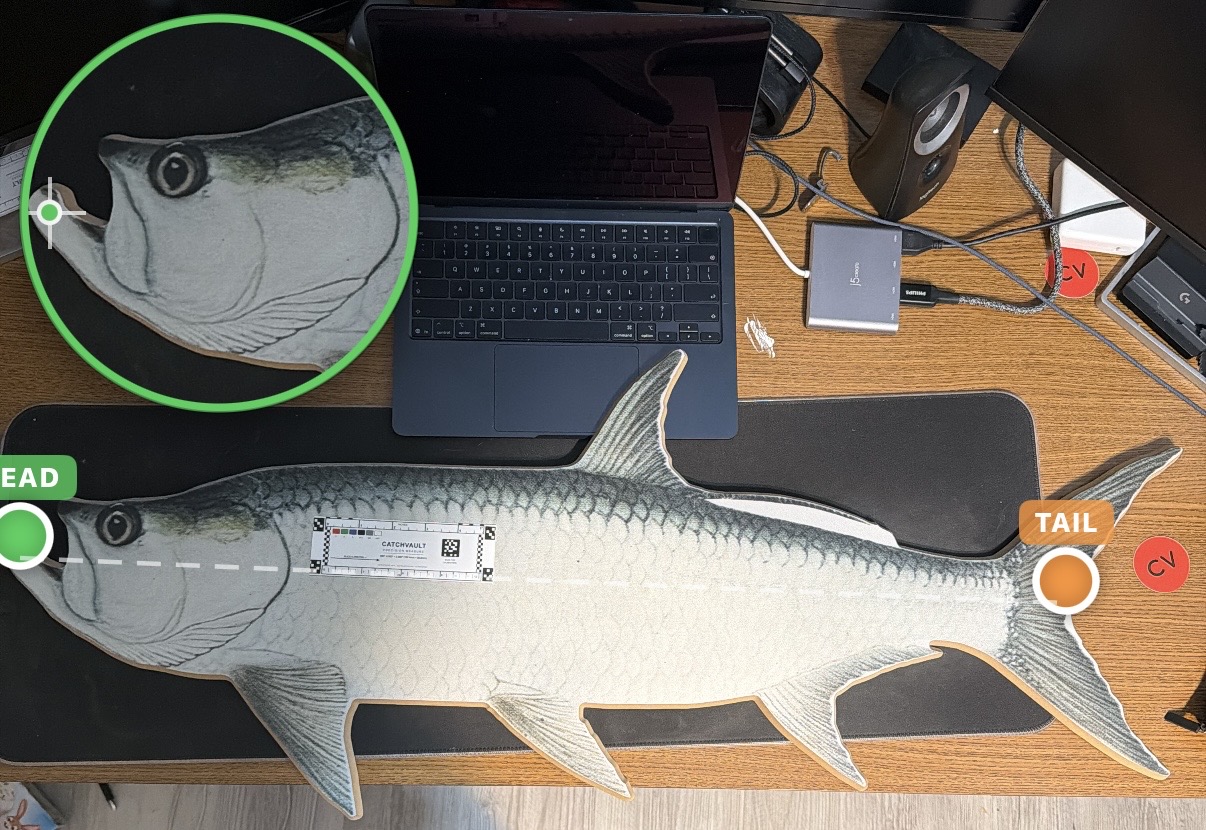 Measured from tip of snout, preferably with mouth closed